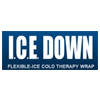 I.C.E. Down logo